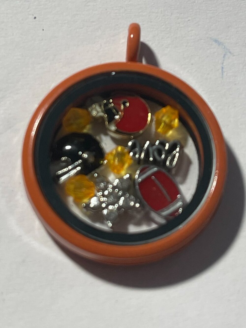 Cleveland Browns NFL Memory Charm Locket w/ 22 IN chain NEW